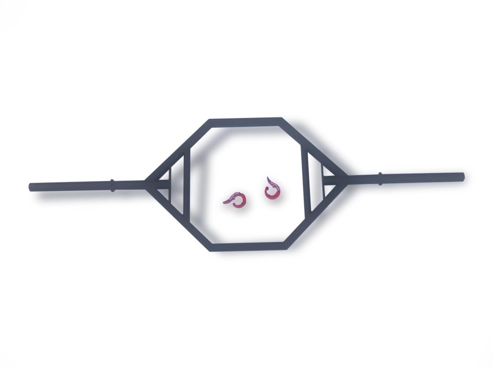 ACFTHBC ACFT Hex Bar w Collars